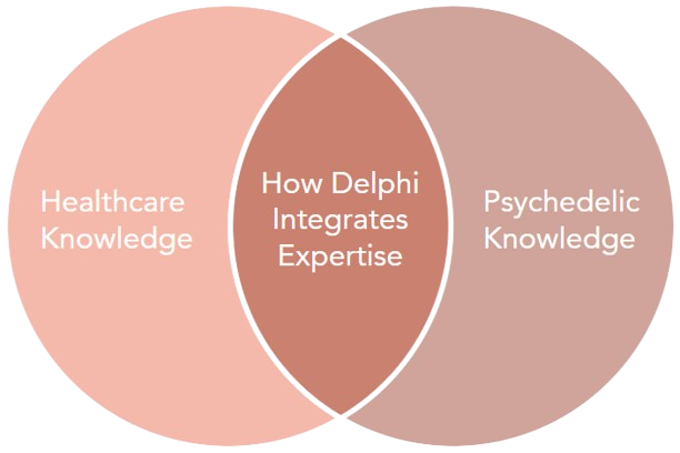 Delphi Overlapping Expertise